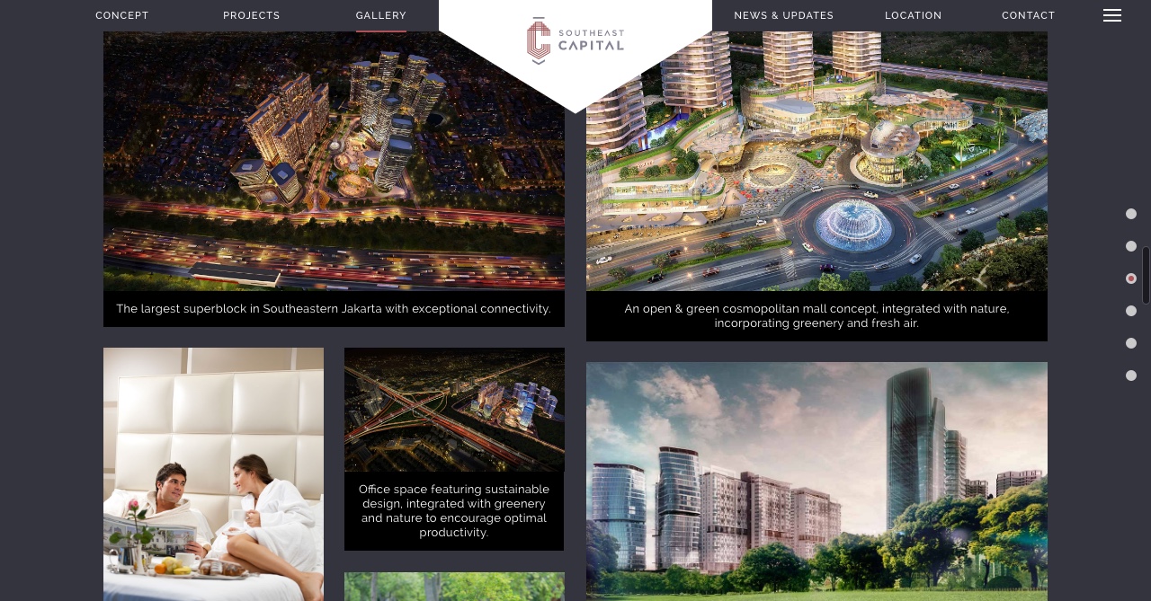 Website Bisnis Southeast Capital