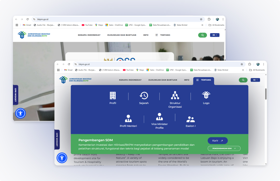 Website BKPM